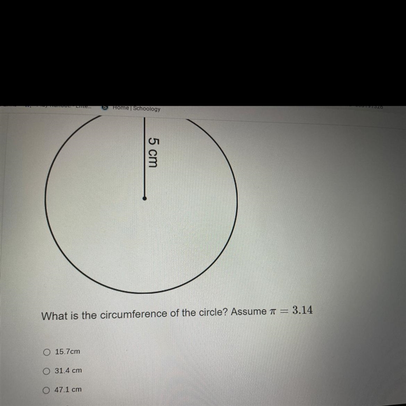 What is the circumference of the circle? Assume pi = 3.14-example-1