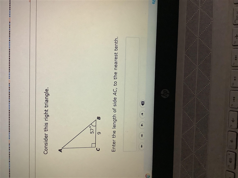 What do I put as the answer ?-example-1