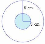 A dart hits the small circular target shown below at a random point. Find the probability-example-1