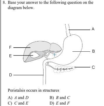 Please help it's for my sister-example-1