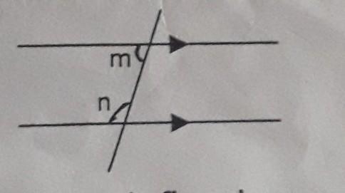 From given figure write the radiation between m and n.​-example-1