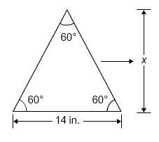 What is the height, x, of the equilateral triangle?-example-1