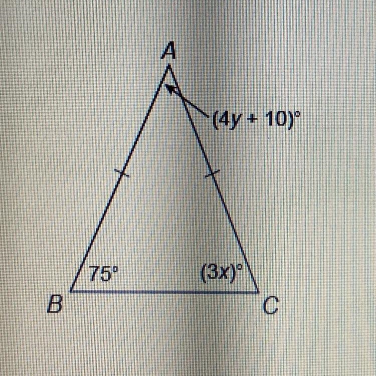 What is the value of y?-example-1