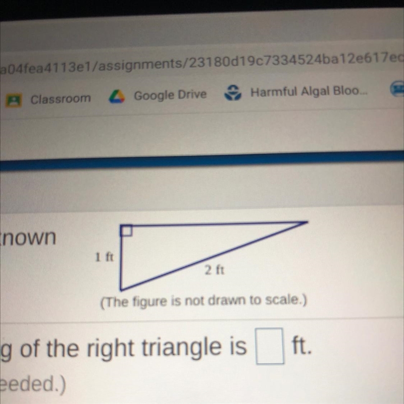 What it the length of the leg-example-1