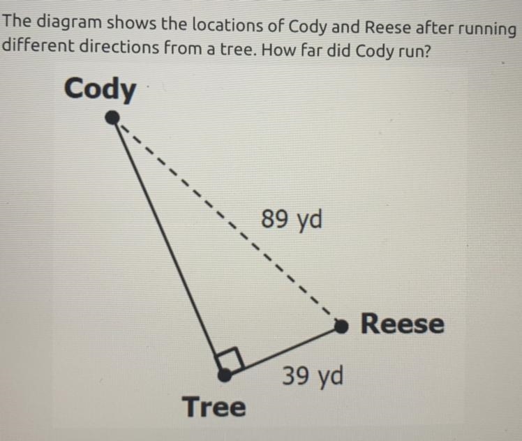 The diagram shows the locations of Cody and Reese after running different directions-example-1