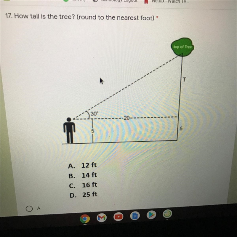 How tall is the tree? Round to the nearest foot.. please help me-example-1