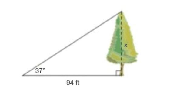 Find the height, x, of the tree. 20 points for this question 79.03 ft 111.80 ft 124.74 ft-example-1