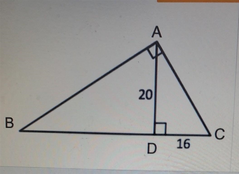 What does BD equal to?​-example-1