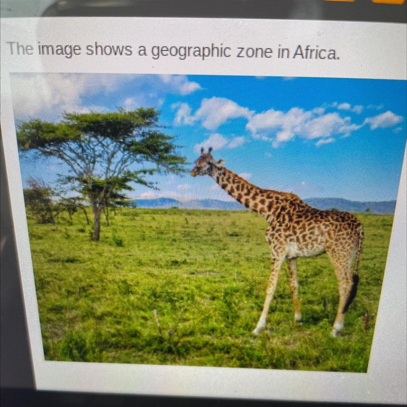 The image shows a geographic zone in Africa. Which geographical zone is pictured in-example-1