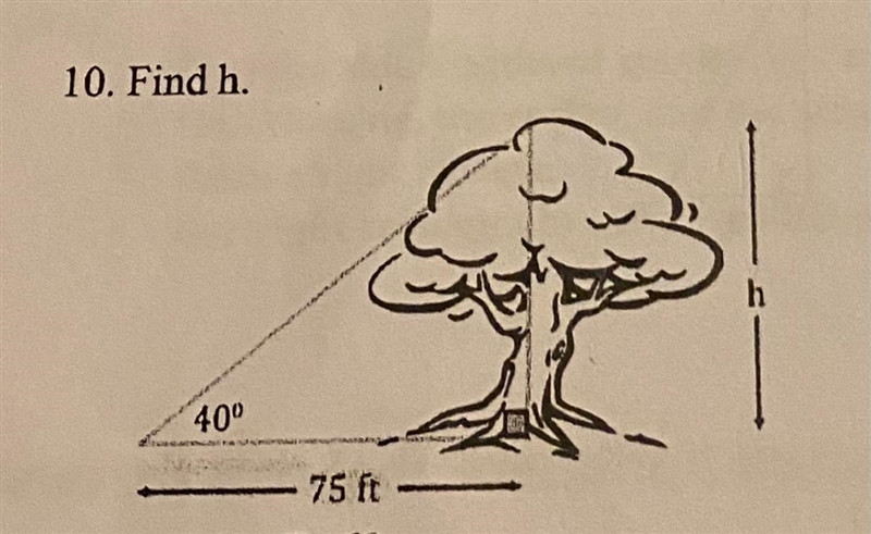 Trigonometric Ratios Find h.-example-1