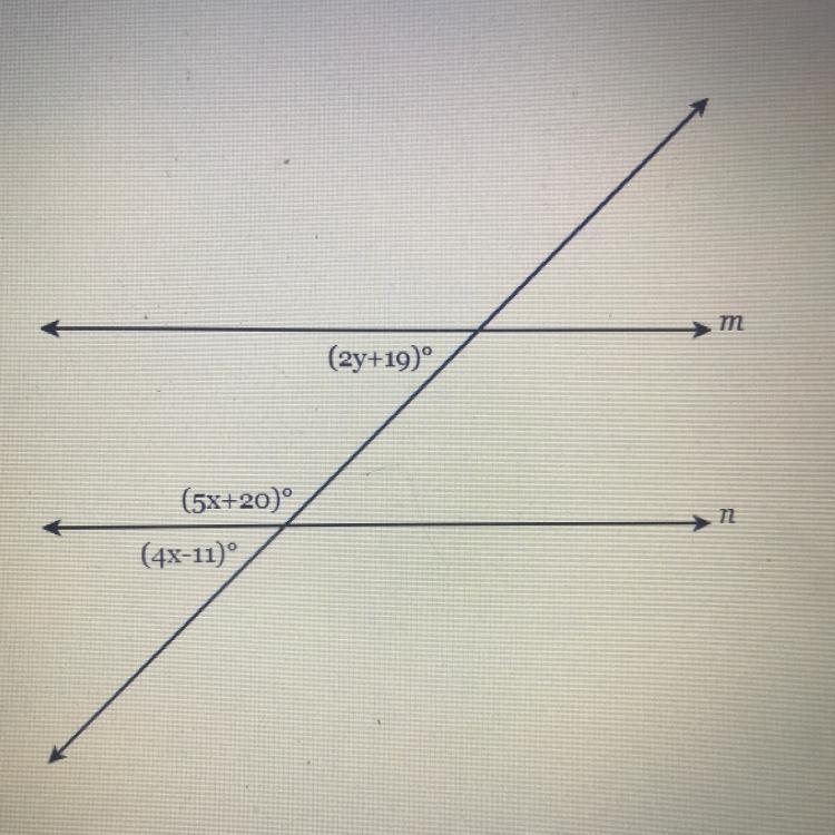 M (2y+19) (5x+20) n (4x-11)-example-1