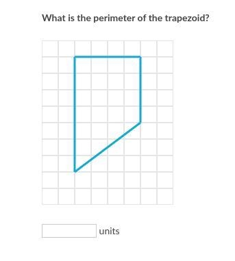 What's the perimeter?-example-1