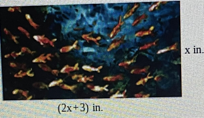 The painting shown at the right has an area of 460in^2. What is the values of x?-example-1