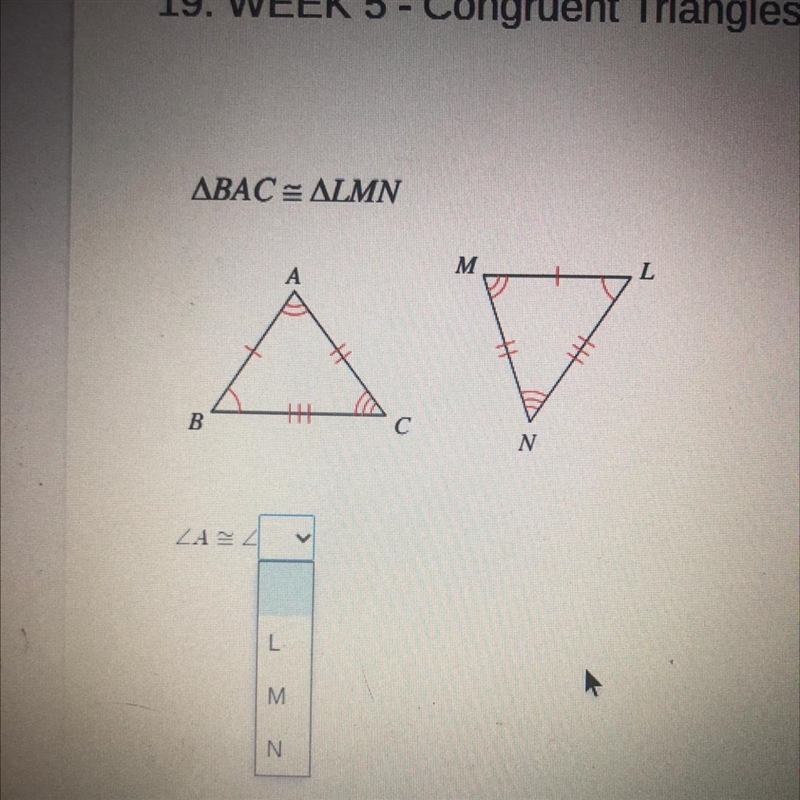 Help me pleaseeee I don’t know what to do!!-example-1