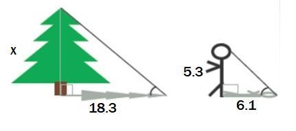 Find x, the height of the tree. (Decimal Answer)-example-1