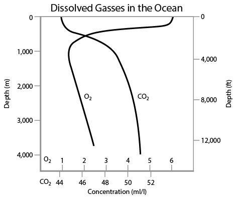 A chemist is studying dissolved gases in the ocean. She graphs her data as shown below-example-1