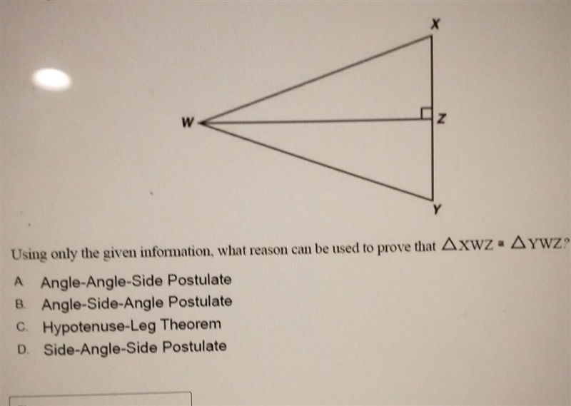 HELP! WHY IS THIS TRIANGLE CONGRUENT! EASY PLS HELP​-example-1