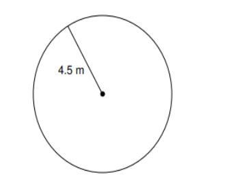 What is the Circumference of this circle.-example-1