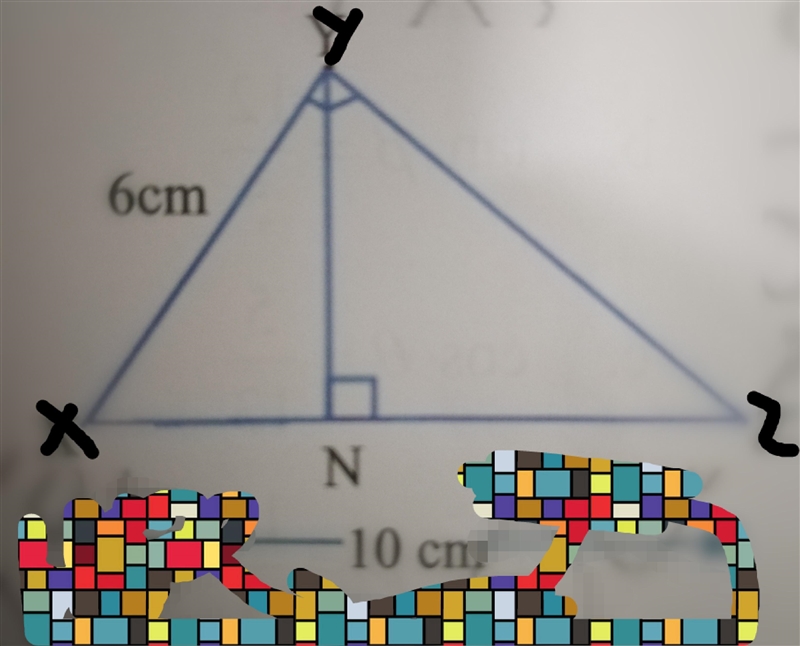 In the figure the triangle is right triangle at *Y* and *N* is the foot of the perpendicular-example-1