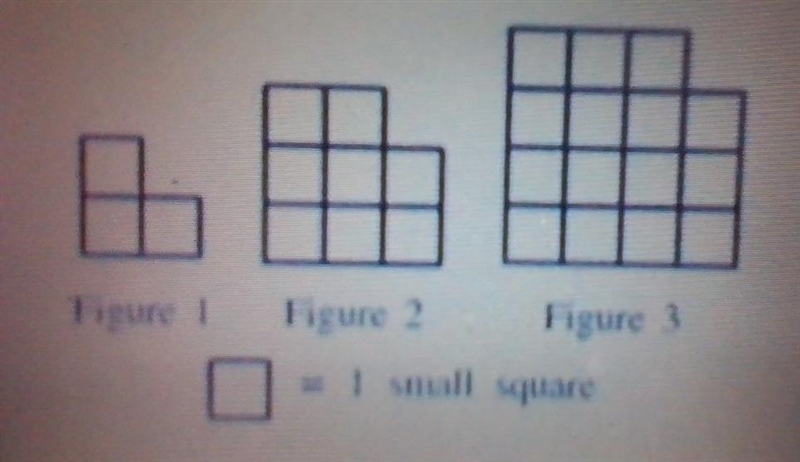 PLEASE HELP!! Which of the following functions represents f(n), the number of small-example-1