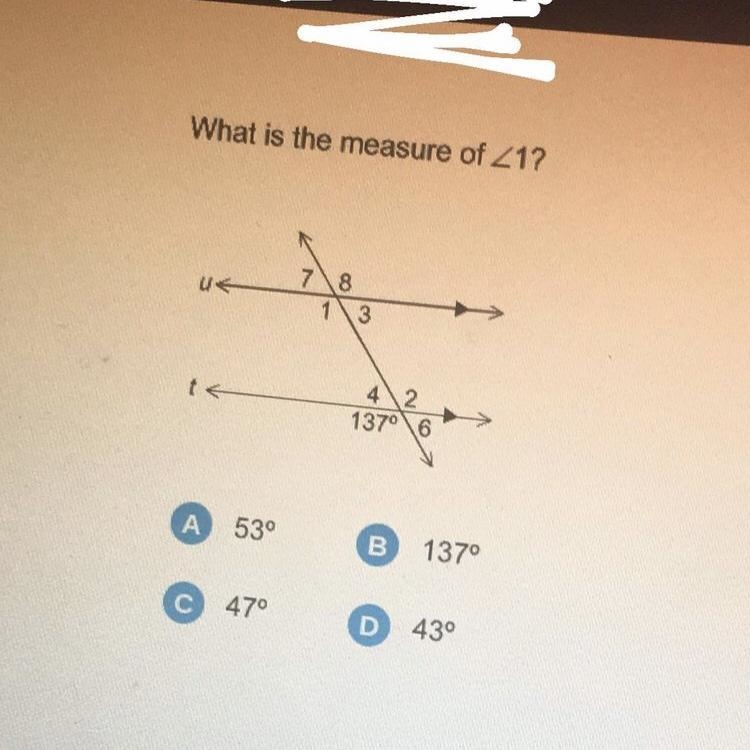 I really need help on this one!!-example-1