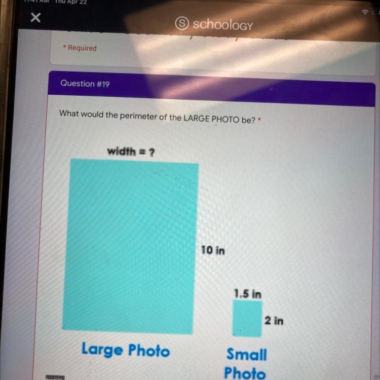 Question #19 * What would the perimeter of the LARGE PHOTO be? width = ? 10 in-example-1