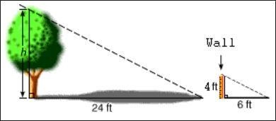 A wall and a tree are casting shadows as shown in the picture below. How tall is the-example-1