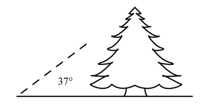 Use the following diagram to help in your calculations: Explain how you would use-example-1