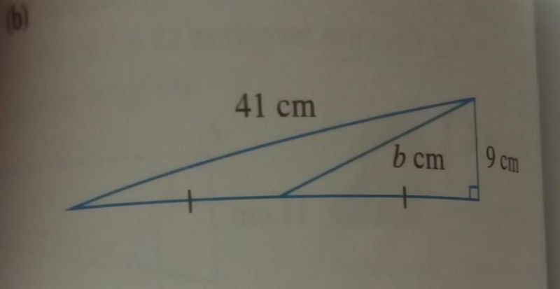 . 25 points .please help Pythagoras theorem.​-example-1