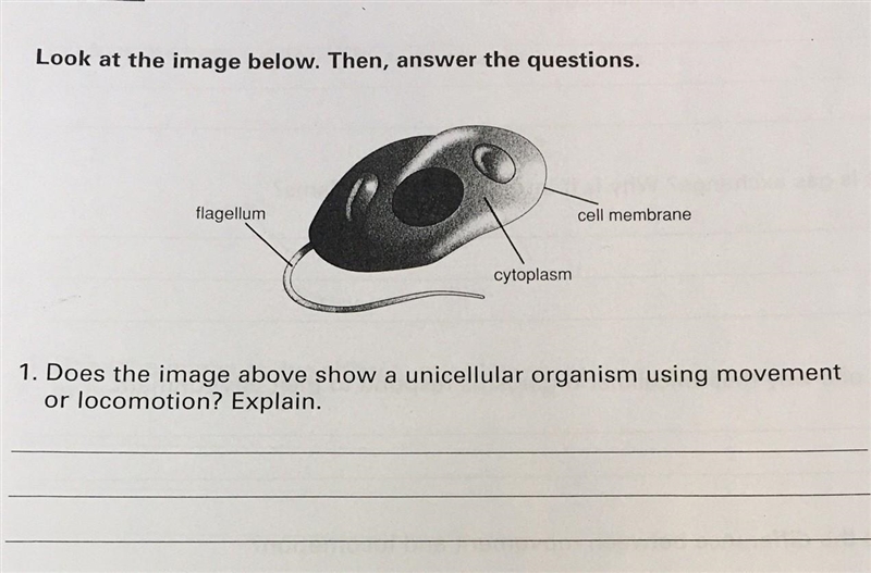 HELP PLEASEEE HELP PLEASEEE ​-example-1