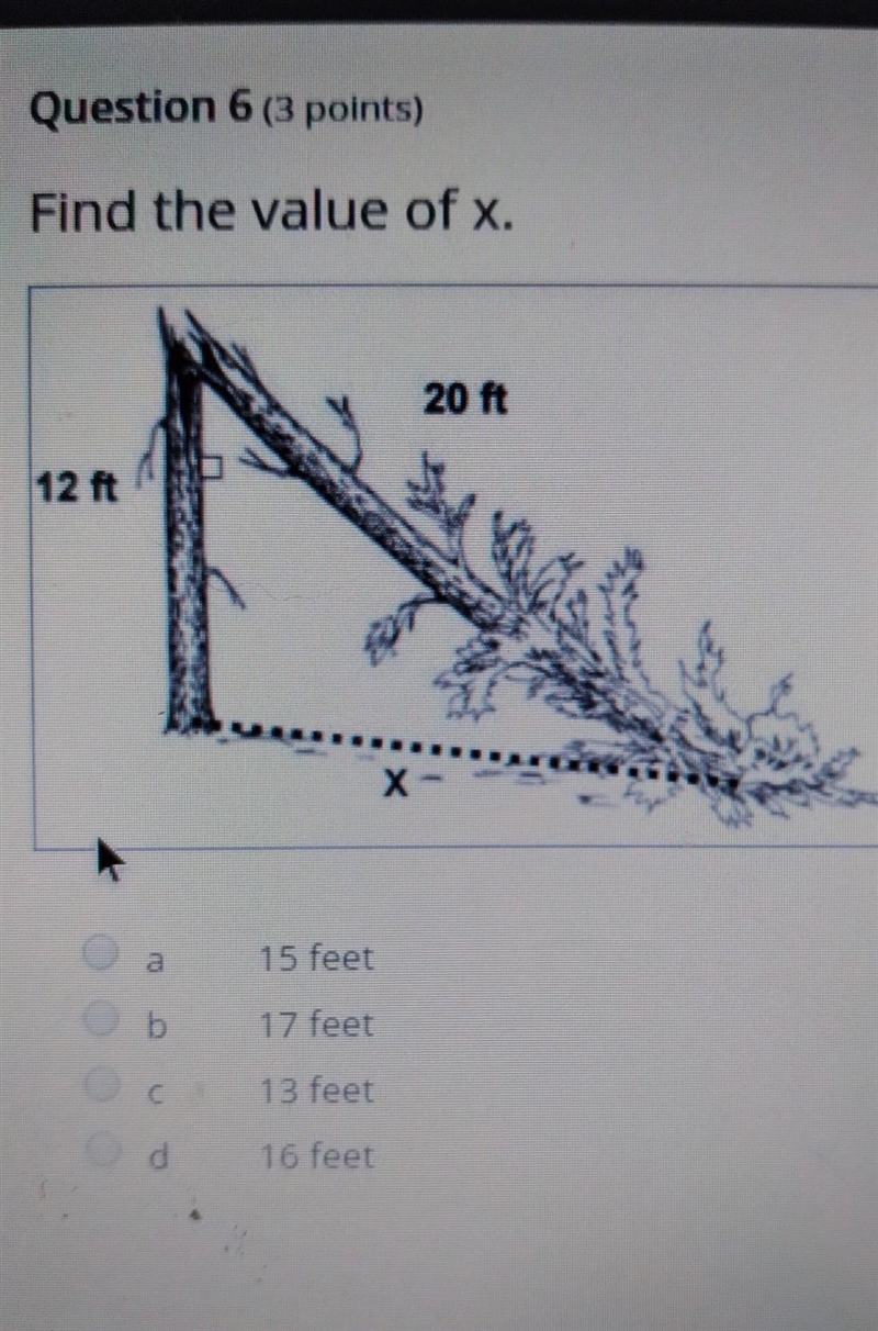 Find the value of x. ​-example-1