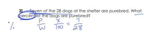 Seven of the 28 dogs at the shelter are purebred. What percent of the dogs are purebred-example-1