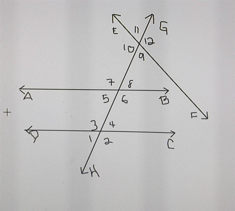 GIVING BRIANLIEST PLS HELP a) Which lines are parallel? b) Which line/lines act as-example-1