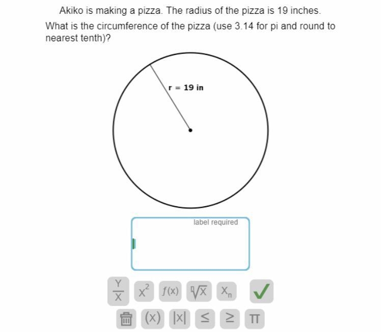 Akiko is making a pizza. The radius of the pizza is 19 inches. What is the circumference-example-1