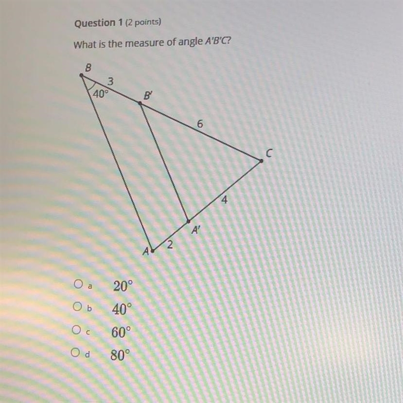 ￼can someone help me please-example-1