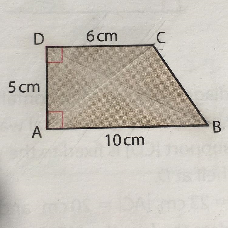 Maths! please help :) |AB|=10cm |AD|=5cm |DC|=6cm The angles A and D are right angles-example-1