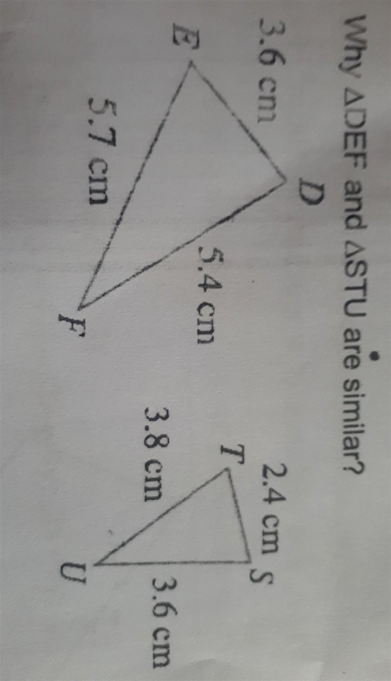 Why DEF and STU are similar?​-example-1