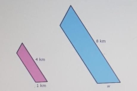 If these two shapes are similar, what is the measure of the missing length w?​-example-1