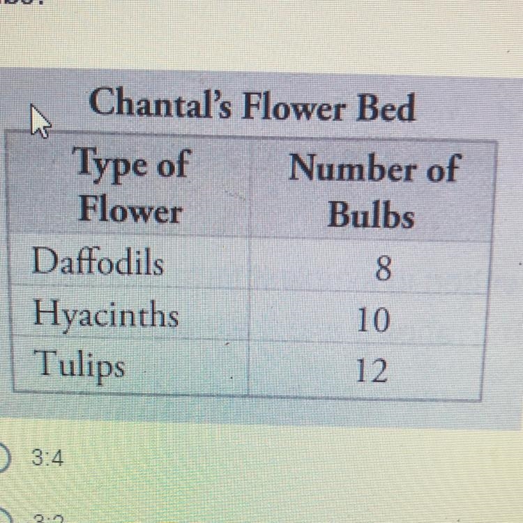 Which ratio compares the number of daffodil bulbs to the number of tulip bulbs?-example-1