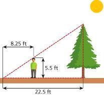 If the tree is 19.3 feet tall, how far is the person standing away from the tree in-example-1