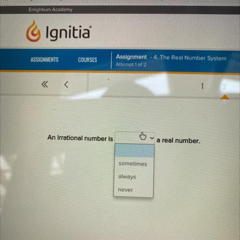 An irrational number is a real number. sometimes always never-example-1