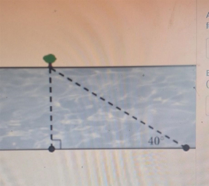 McNeal stands at the 40 degree angle and is trying to find the width of the river-example-1