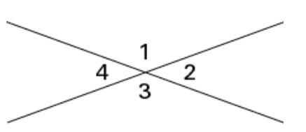 Help please!!! What is the relationship between the angles that are formed by two-example-1