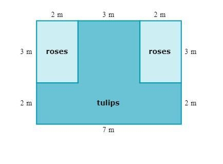 Lisa's garden has tulips and roses. Find the area of the part with tulips.-example-1