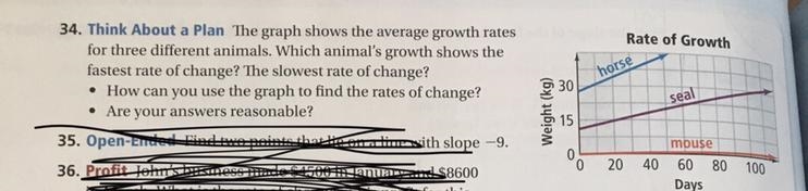 Help me on number 24 plss-example-1