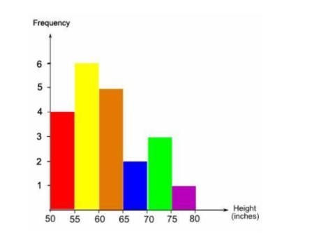 A state park uses a histogram to record the heights of various trees. Suppose three-example-1