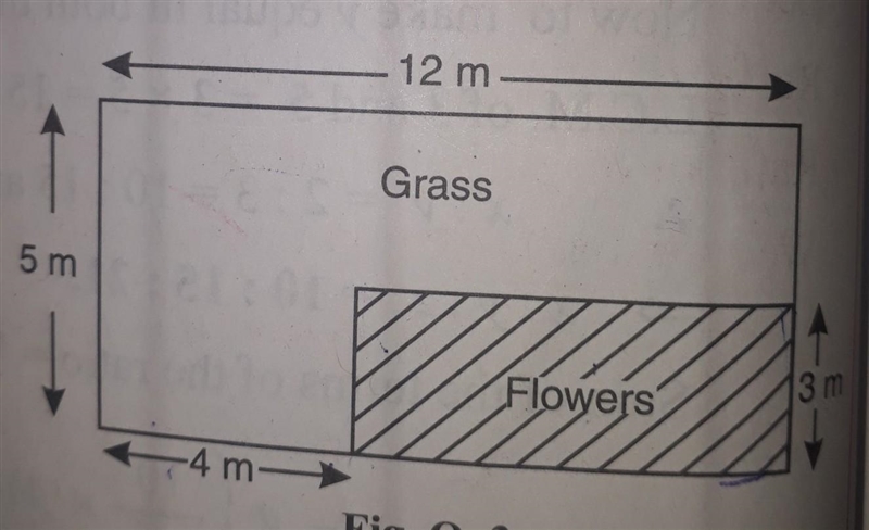 The given figure shows a small garden. The shaded area is reserved for planting flowers-example-1