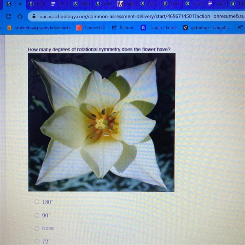 How many degrees of rotational symmetry does the flower have-example-1