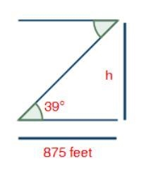 Solve for h in this right triangle. Show all steps and round your answer to the nearest-example-1