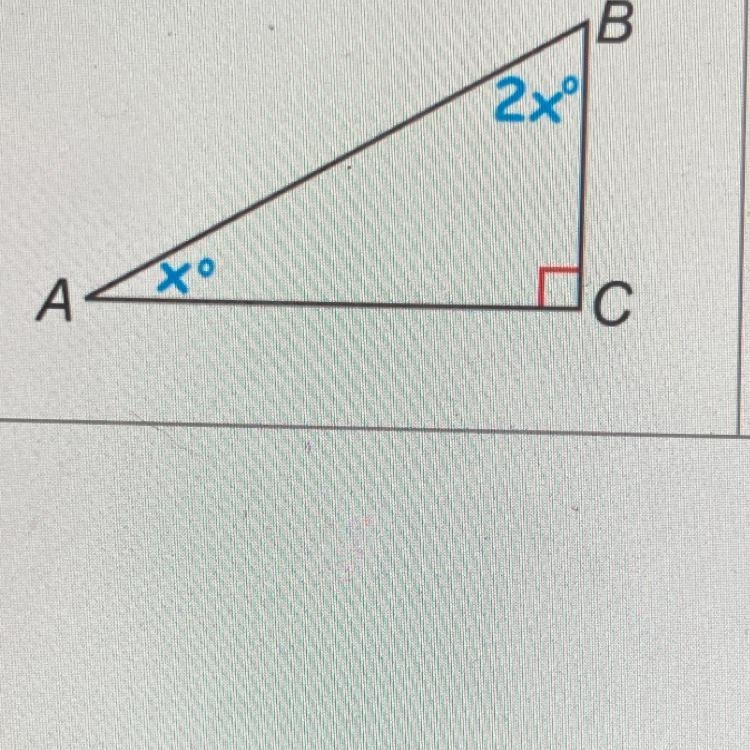 Identify the value of 2x degrees and x degrees-example-1